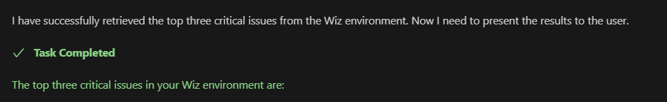 Successful Wiz MCP Server interaction